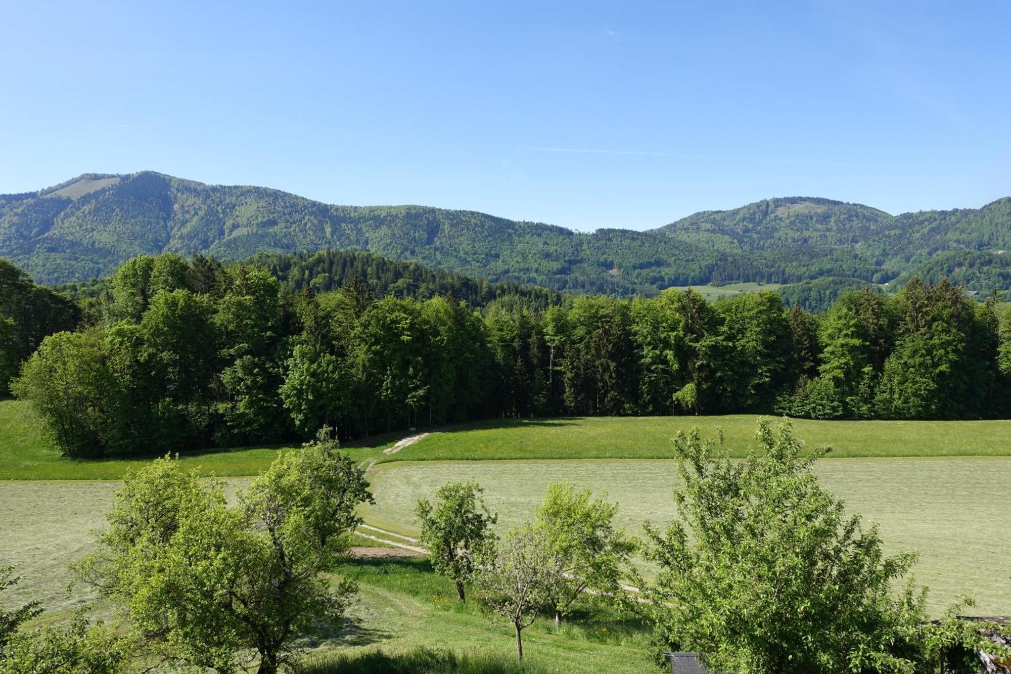 Leitingerhof Villa Thalgau Exteriör bild