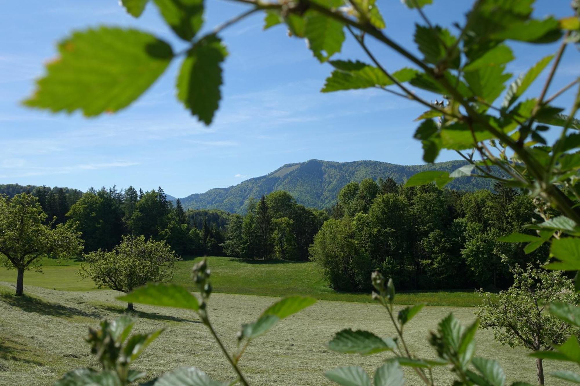 Leitingerhof Villa Thalgau Exteriör bild