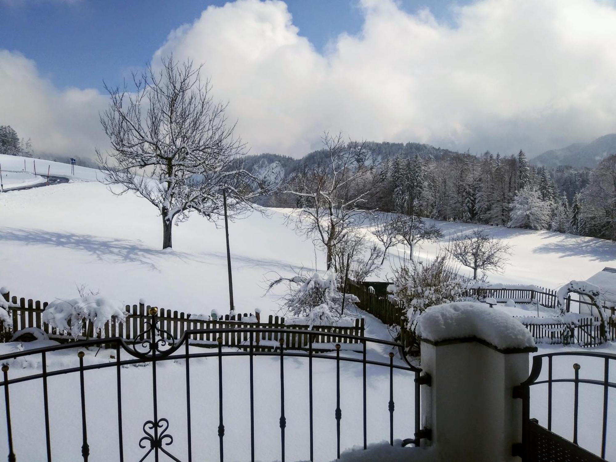 Leitingerhof Villa Thalgau Exteriör bild