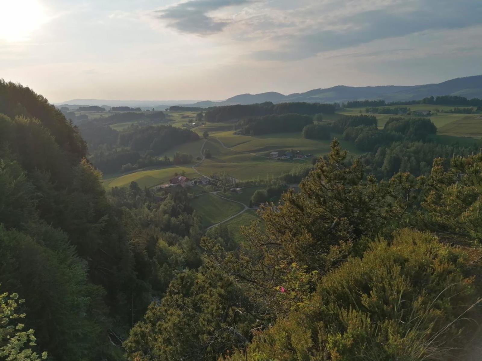 Leitingerhof Villa Thalgau Exteriör bild